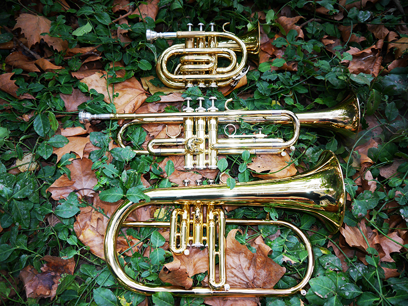 BLANCHARD MUSIQUE trompettes-cornets