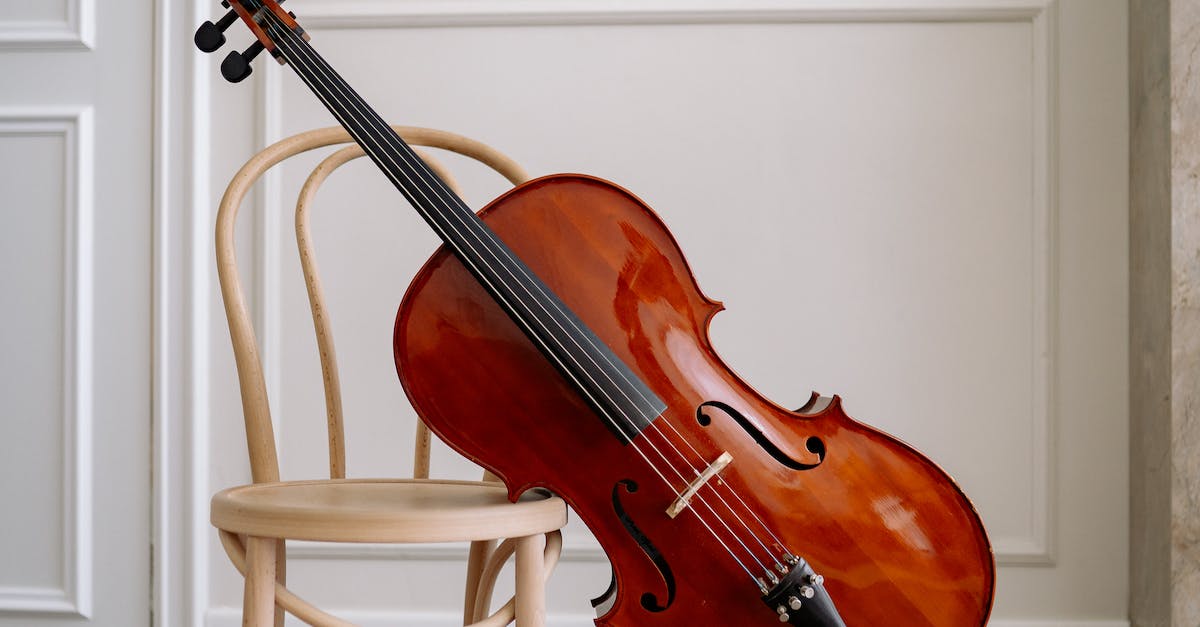 BLANCHARD-MUSIQUE-violoncelles-contrebasses